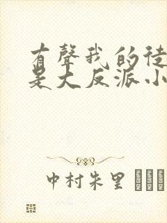 有声我的徒弟都是大反派小说封面