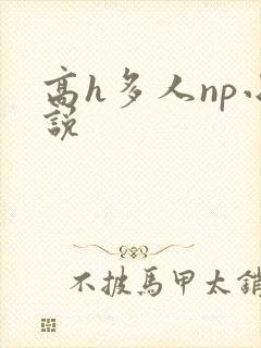 高h多人np小说