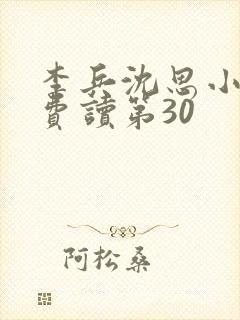 李兵沈思小说免费读第30封面