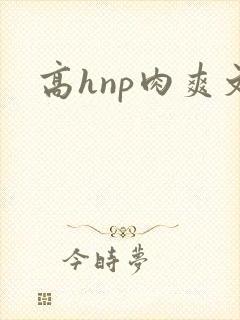 高hnp肉爽文