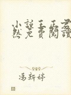 小说王正君李依然免费阅读