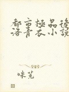 都市极品后宫 洛青衣小说