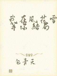 我在风花雪月里等你 结局