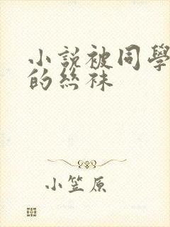 小说被同学凌辱的丝袜