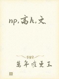 np,高h,文