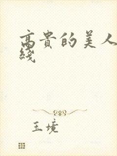 高贵的美人妻在线封面