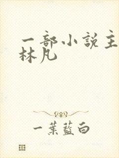 一部小说主角叫林凡