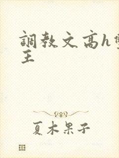 调教文高h双男主封面