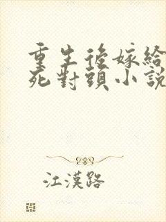 重生后嫁给前夫死对头小说