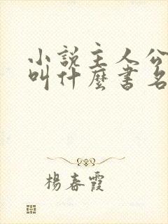 小说主人公杨洛叫什么书名