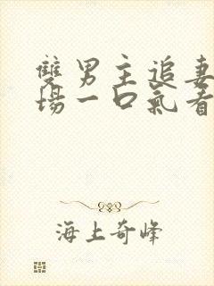 双男主追妻火葬场一口气看完