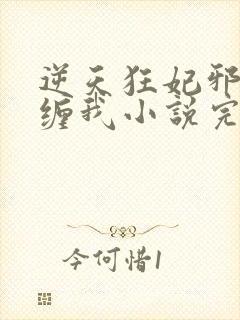 逆天狂妃邪王别缠我小说完整版本