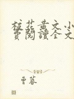 校花黄文小说免费阅读全文