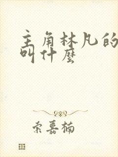 主角林凡的小说叫什么