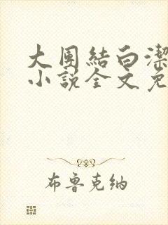 大团结白洁高义小说全文免费笔趣阁