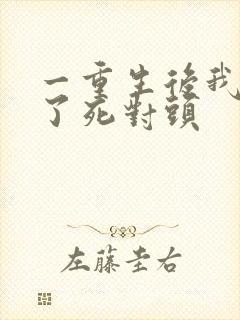 一重生后我嫁给了死对头