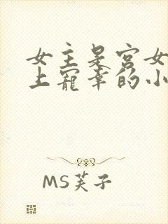 女主是宫女被皇上宠幸的小说