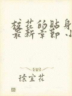 校花的贴身高手最新章节 小说封面