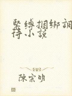 紧缚捆绑调教虐待小说