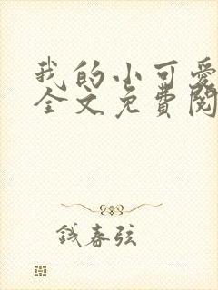 我的小可爱小说全文免费阅读封面