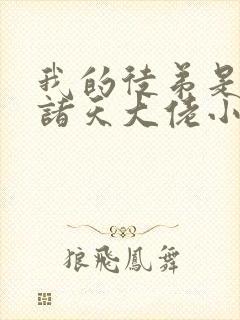 我的徒弟是未来诸天大佬小说