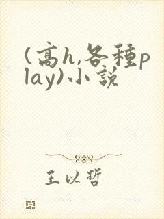 (高h,各种play)小说