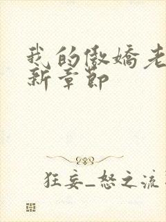 我的傲娇老婆最新章节