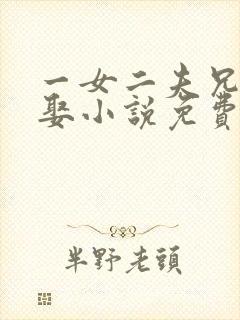 一女二夫兄弟共娶小说免费阅读