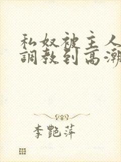 私奴被主人玩弄调教到高潮小说