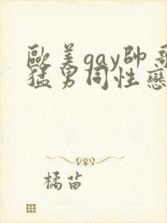 欧美gay帅哥猛男同性恋互撸互打飞机视频封面