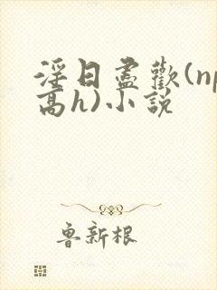 淫日尽欢(np高h)小说封面
