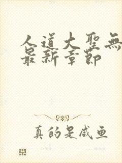 人道大圣无弹窗最新章节