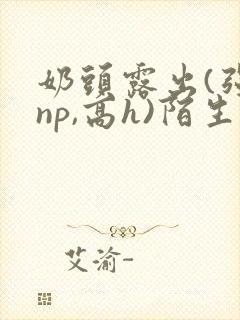 奶头露出(强jnp,高h)陌生人小说