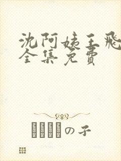 沈阿姨王飞小说全集免费