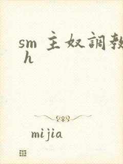 sm 主奴调教 h