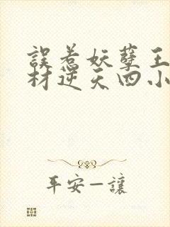 误惹妖孽王爷废材逆天四小姐 小说