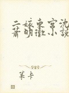 二嫁东宫沈雨燃萧明彻小说免费阅读全文