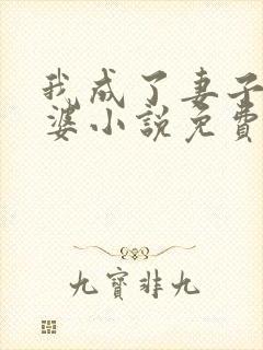 我成了妻子的老婆小说免费阅读全文封面