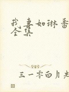 我妻如琳番外篇全集封面