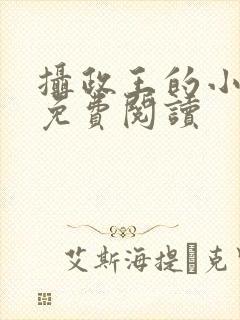 摄政王的小哑妻免费阅读