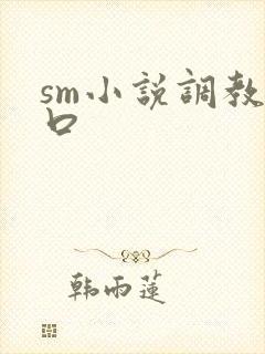 sm小说调教重口