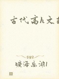 古代高h文推荐封面