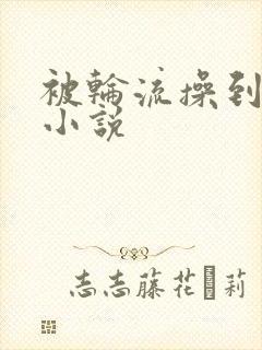 被轮流操到高潮小说