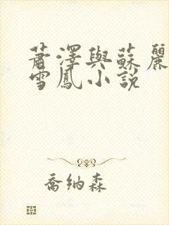 萧泽与苏丽莎王雪凤小说