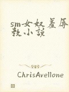 sm女奴羞辱调教小说