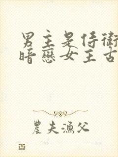 男主是侍卫从小暗恋女主古言