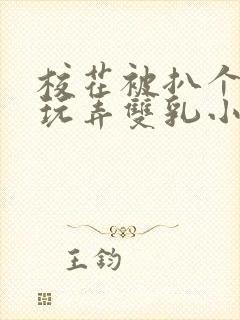 校花被扒个精光玩弄双乳小说封面