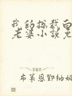 我的总裁白富美老婆小说免费读