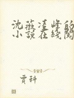 沈薇凌峰的官场小说在线阅读