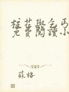 校花与乞丐全文免费阅读小说